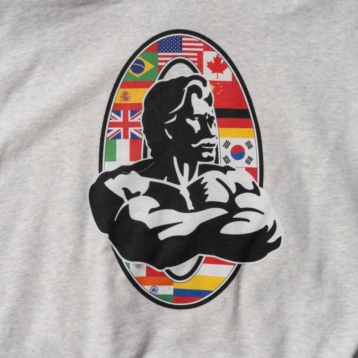 International Division Crop Hoodie | Close up of back logo featuring the International Division Olympia worldwide logo of participating countries flags
